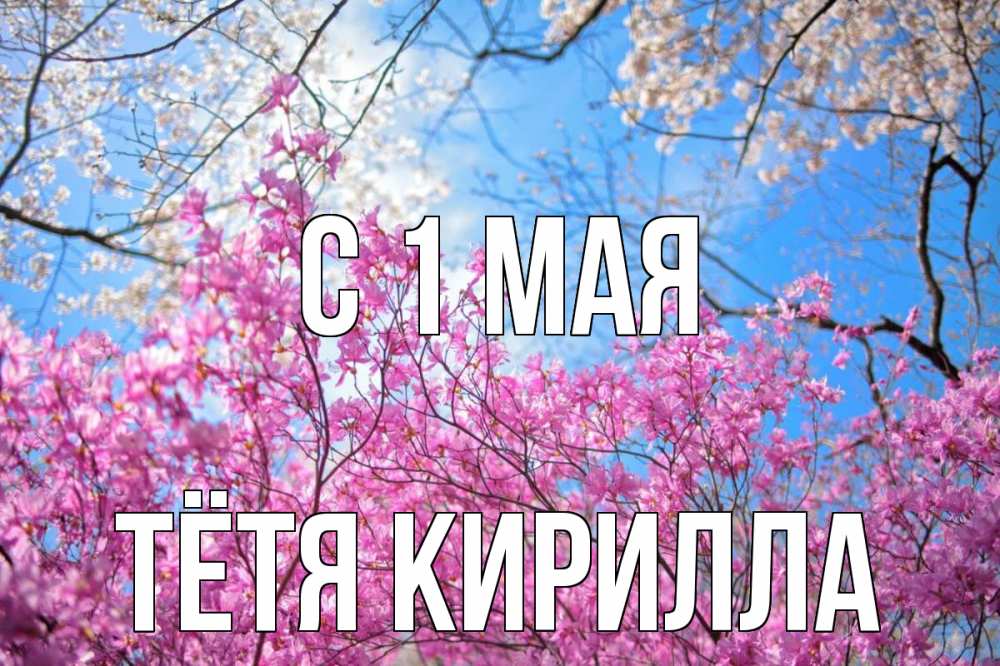 Открытка на каждый день с именем, Тётя-Кирилла С 1 мая С 1 мая Прикольная открытка с пожеланием онлайн скачать бесплатно 