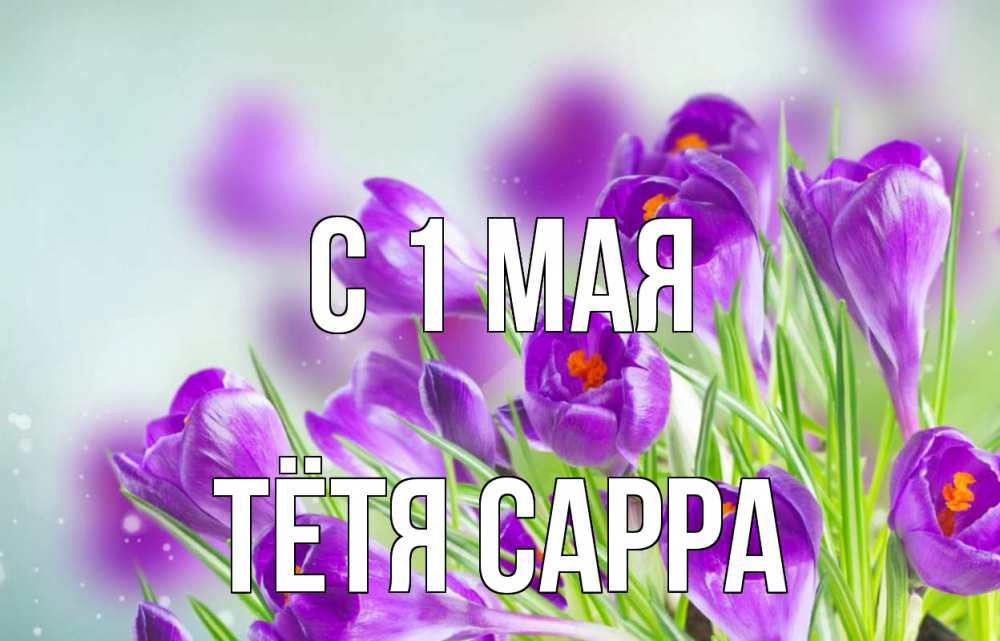 Открытка на каждый день с именем, Тётя-Сарра С 1 мая 1 мая Прикольная открытка с пожеланием онлайн скачать бесплатно 