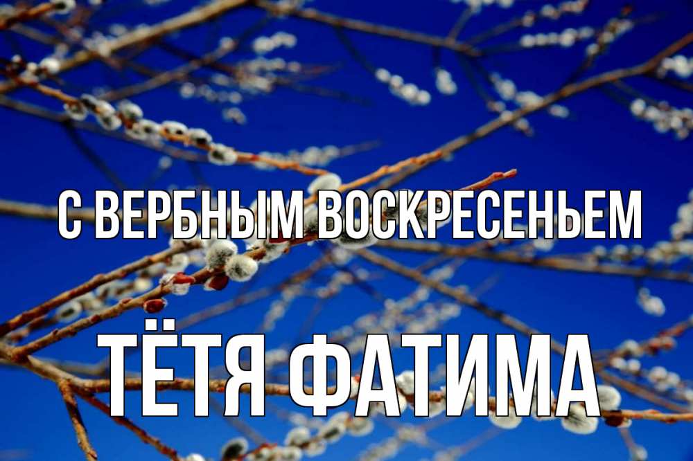 Открытка на каждый день с именем, Тётя-Фатима С вербным воскресеньем верба Прикольная открытка с пожеланием онлайн скачать бесплатно 