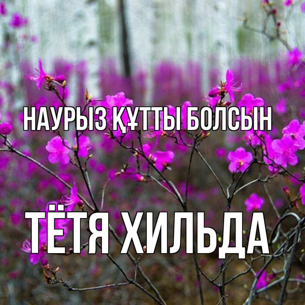 Открытка на каждый день с именем, Тётя-Хильда Наурыз құтты болсын дикие цветы Прикольная открытка с пожеланием онлайн скачать бесплатно 