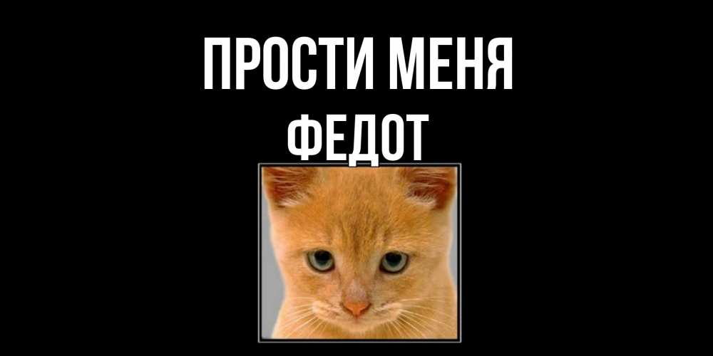 Открытка на каждый день с именем, Федот Прости меня рыжий грустный кот просит прощения Прикольная открытка с пожеланием онлайн скачать бесплатно 