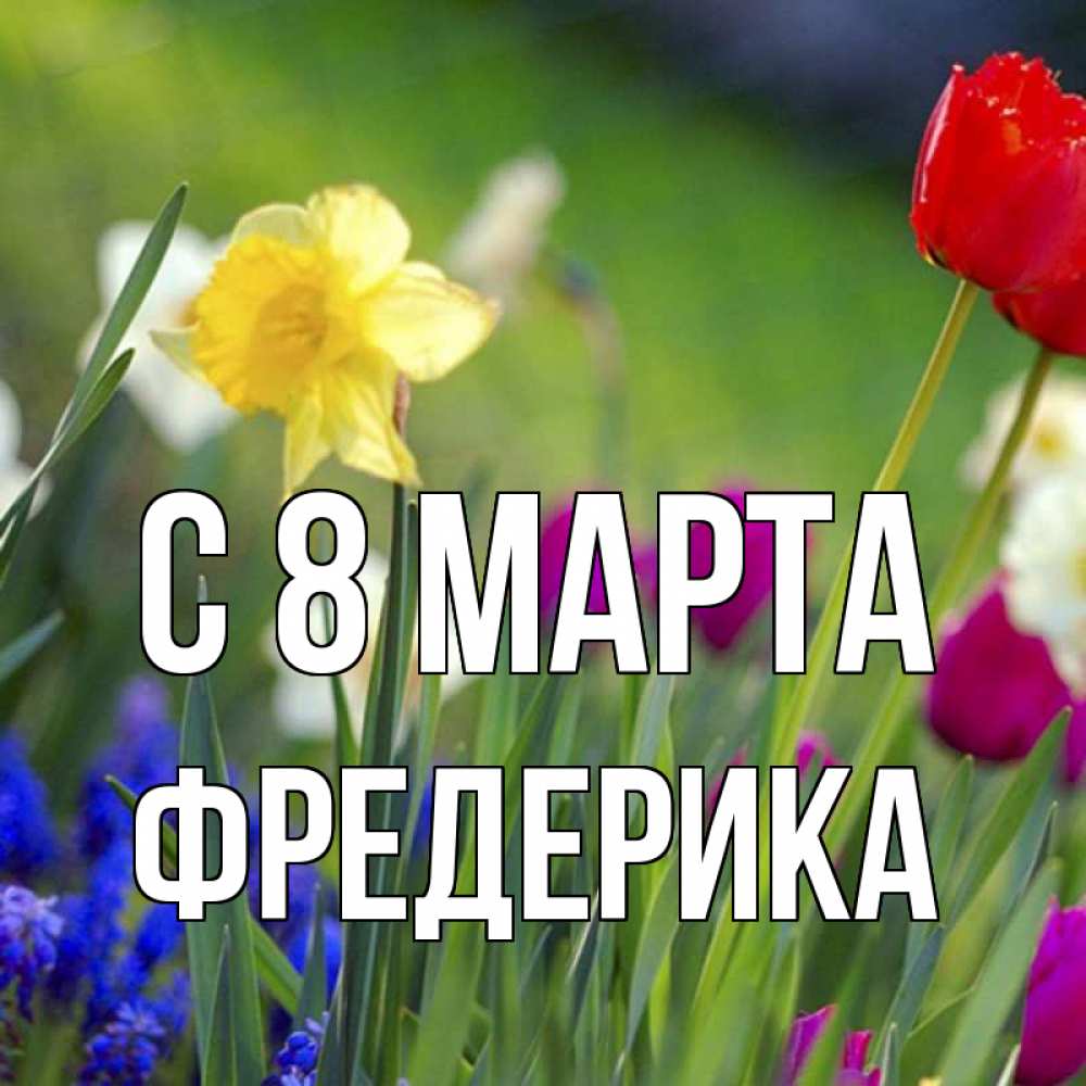 Открытка на каждый день с именем, Фредерика С 8 марта международный женский день 3 Прикольная открытка с пожеланием онлайн скачать бесплатно 