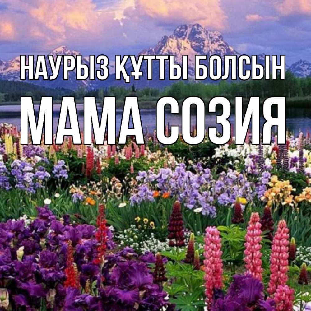 Открытка на каждый день с именем, Мама-Созия Наурыз құтты болсын наурыз Прикольная открытка с пожеланием онлайн скачать бесплатно 