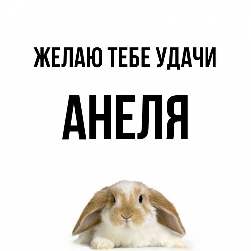 Открытка на каждый день с именем, Анеля Желаю тебе удачи открытки с произвольным текстом который можно вставить в открытку и создать ее самостоятельно бесплатно онлайн Прикольная открытка с пожеланием онлайн скачать бесплатно 