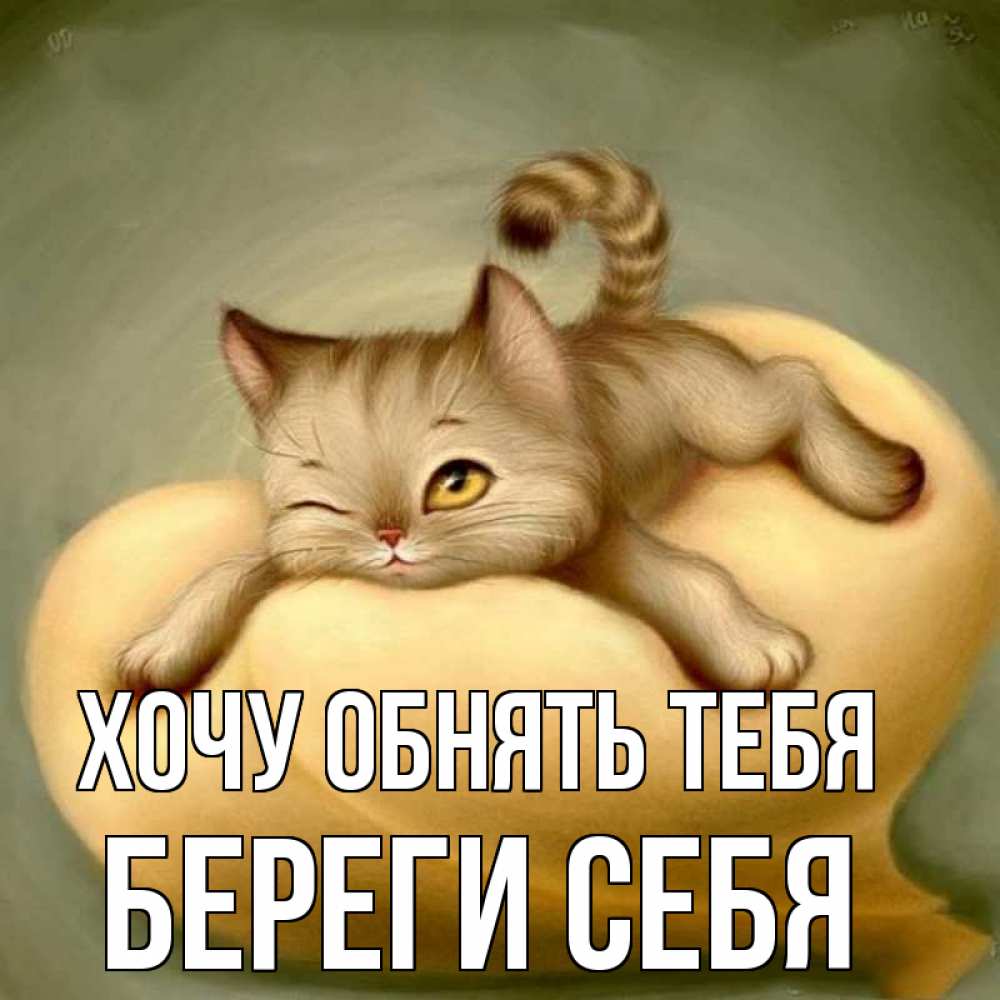 Открытка на каждый день с именем, Береги-себя Хочу обнять тебя кошечка Прикольная открытка с пожеланием онлайн скачать бесплатно 