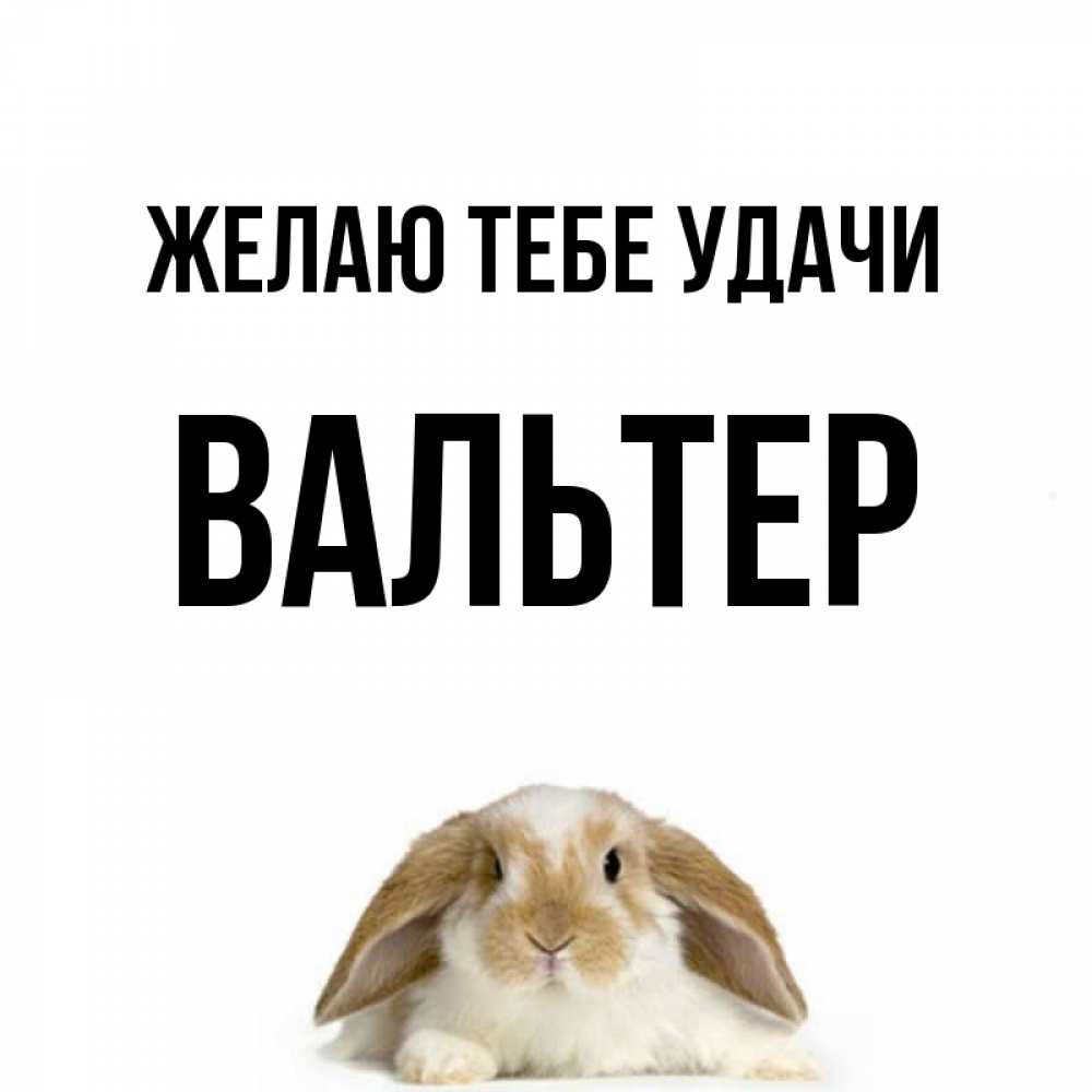 Открытка на каждый день с именем, Вальтер Желаю тебе удачи открытки с произвольным текстом который можно вставить в открытку и создать ее самостоятельно бесплатно онлайн Прикольная открытка с пожеланием онлайн скачать бесплатно 