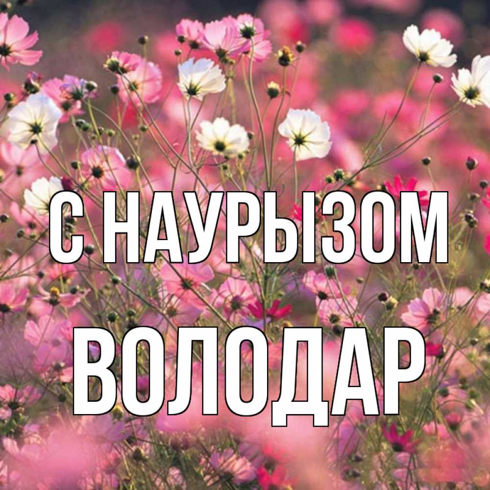 Открытка на каждый день с именем, Володар С наурызом красиво 1 Прикольная открытка с пожеланием онлайн скачать бесплатно 