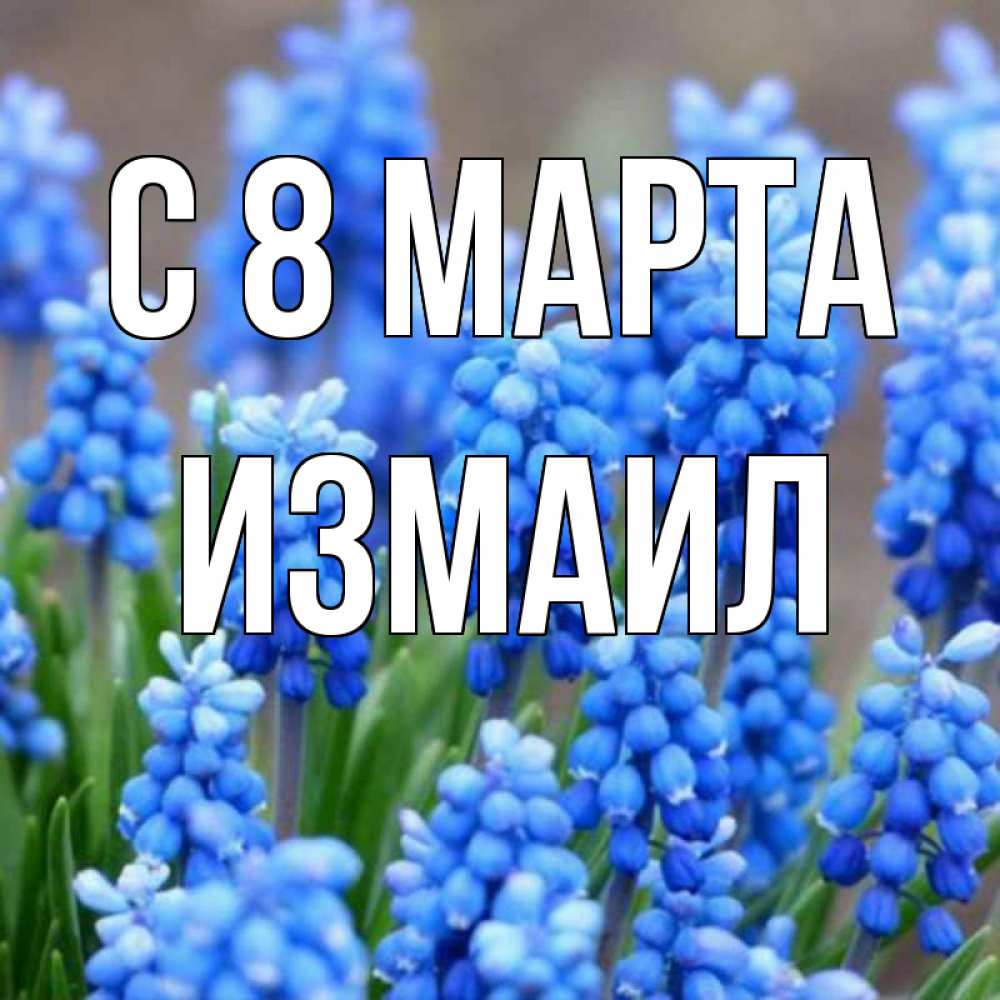 Открытка на каждый день с именем, Измаил С 8 МАРТА Поздравительная открытка для женщин с цветами на праздничную дату Прикольная открытка с пожеланием онлайн скачать бесплатно 
