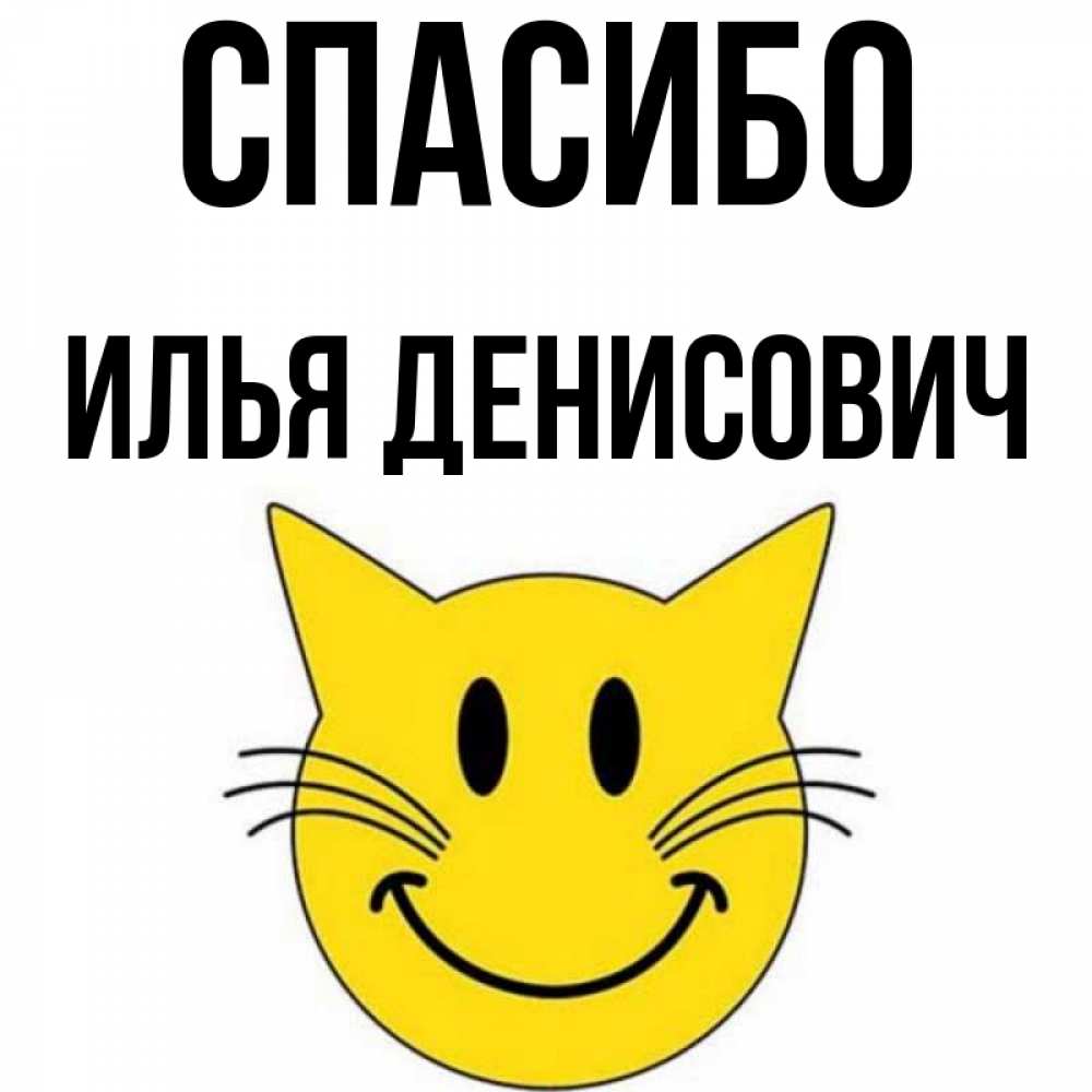 Спасибо Илья За Что