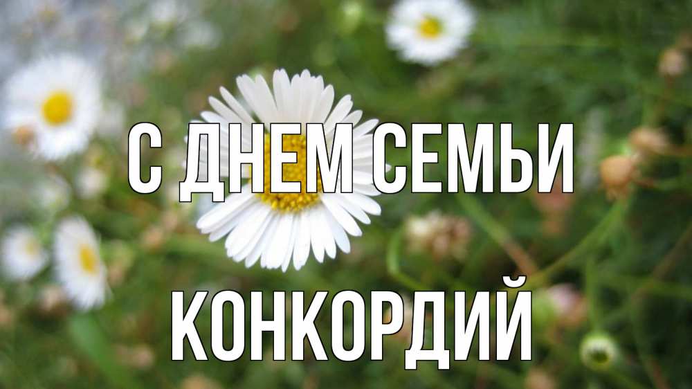 Открытка на каждый день с именем, Конкордий С днем семьи с днем семьи Прикольная открытка с пожеланием онлайн скачать бесплатно 