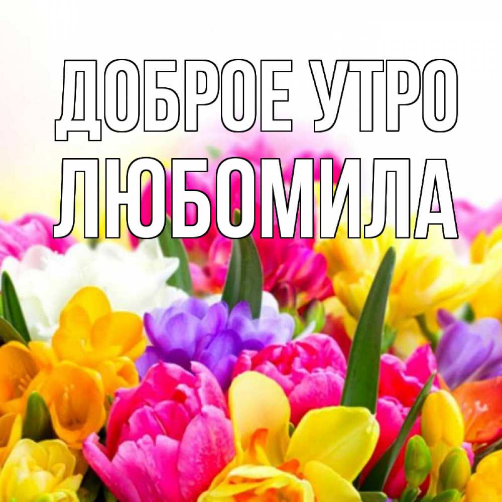 Открытка на каждый день с именем, Любомила Доброе утро создать открытку со свое подписью Прикольная открытка с пожеланием онлайн скачать бесплатно 