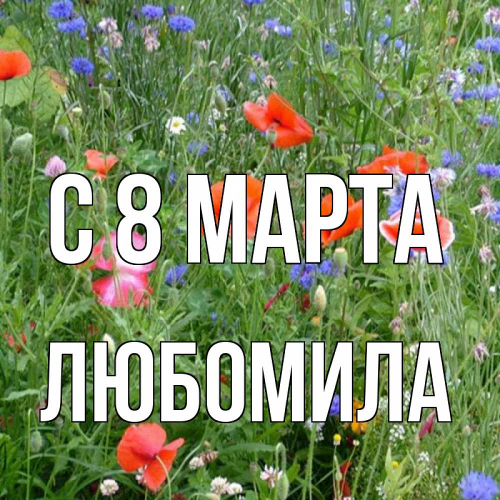 Открытка на каждый день с именем, Любомила С 8 МАРТА международный женский день 4 Прикольная открытка с пожеланием онлайн скачать бесплатно 