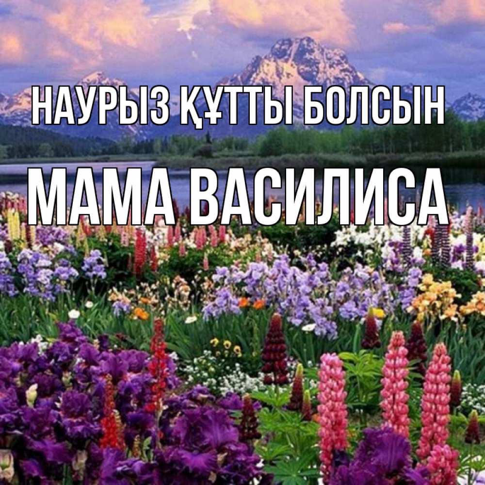 Открытка на каждый день с именем, Мама-Василиса Наурыз құтты болсын наурыз Прикольная открытка с пожеланием онлайн скачать бесплатно 