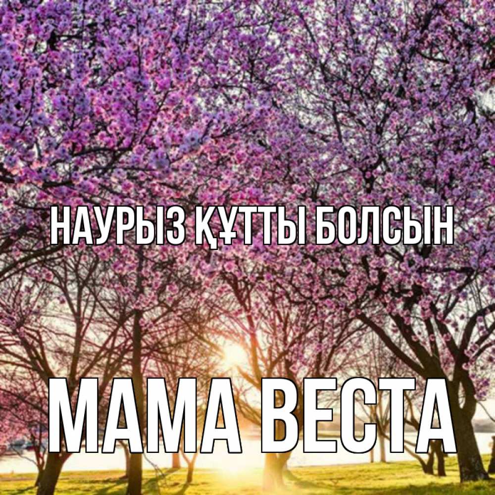 Открытка на каждый день с именем, Мама-Веста Наурыз құтты болсын наурыз Прикольная открытка с пожеланием онлайн скачать бесплатно 