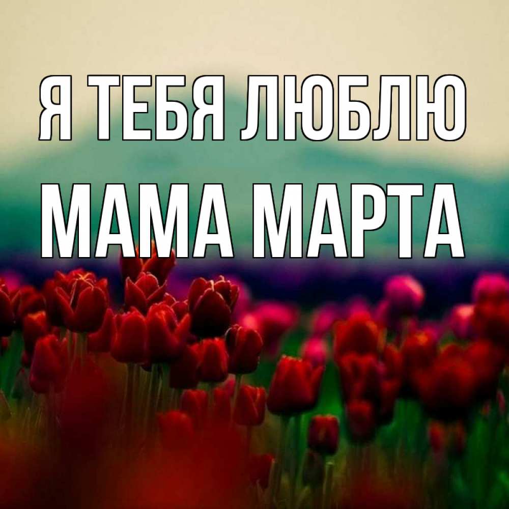 Открытка на каждый день с именем, Мама-Марта Я тебя люблю тюльпаны 4 Прикольная открытка с пожеланием онлайн скачать бесплатно 
