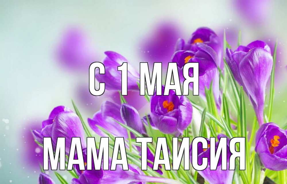 Открытка на каждый день с именем, Мама-Таисия С 1 мая 1 мая Прикольная открытка с пожеланием онлайн скачать бесплатно 