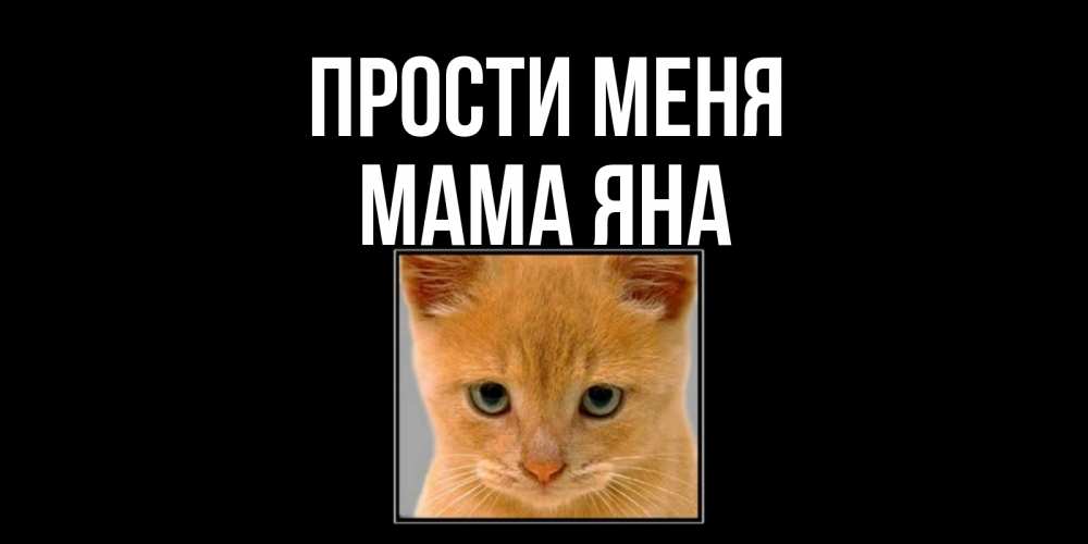 Открытка на каждый день с именем, Мама-Яна Прости меня рыжий грустный кот просит прощения Прикольная открытка с пожеланием онлайн скачать бесплатно 
