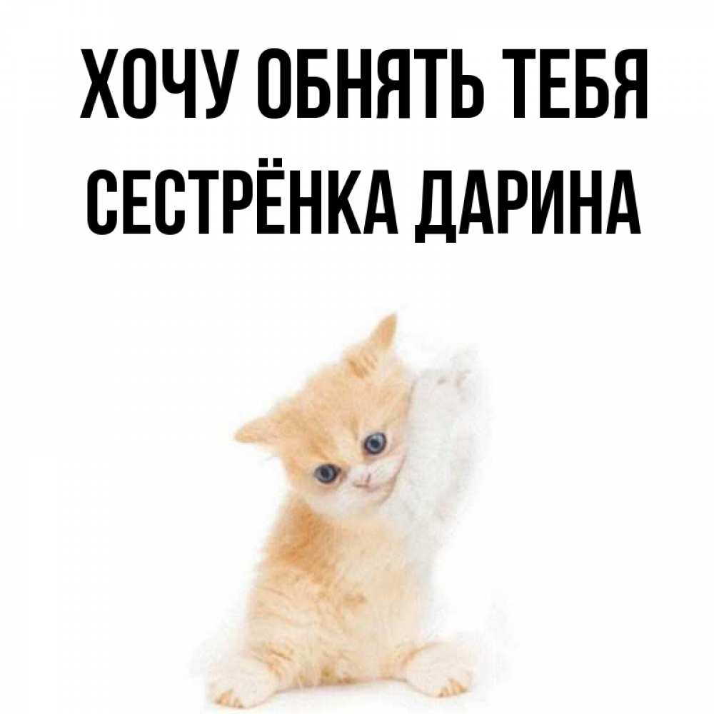 Открытка на каждый день с именем, Сестрёнка-Дарина Хочу обнять тебя я хочу очень скорее обнимаешек Прикольная открытка с пожеланием онлайн скачать бесплатно 