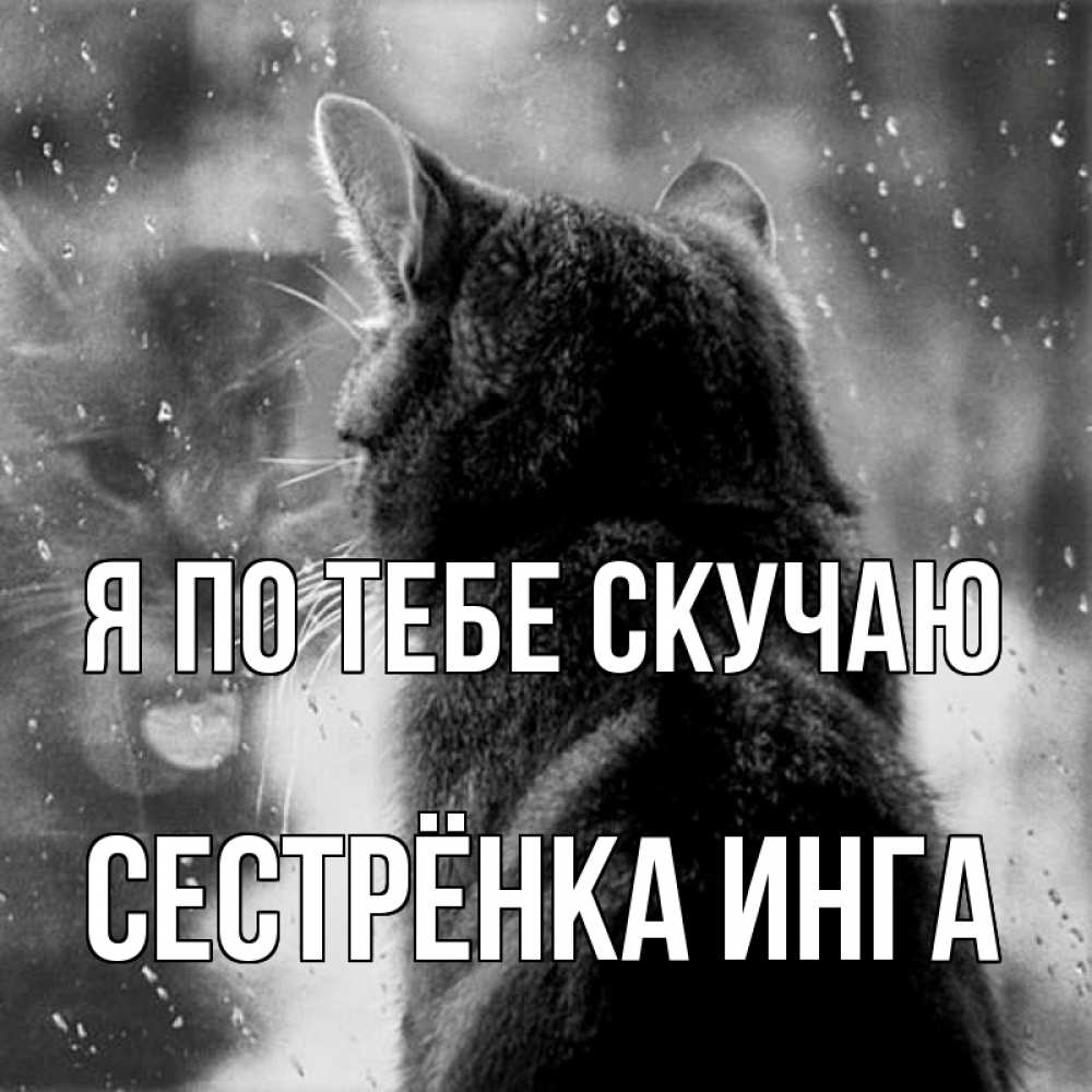 Открытка на каждый день с именем, Сестрёнка-Инга Я по тебе скучаю скорее ко мне приходи 1 Прикольная открытка с пожеланием онлайн скачать бесплатно 