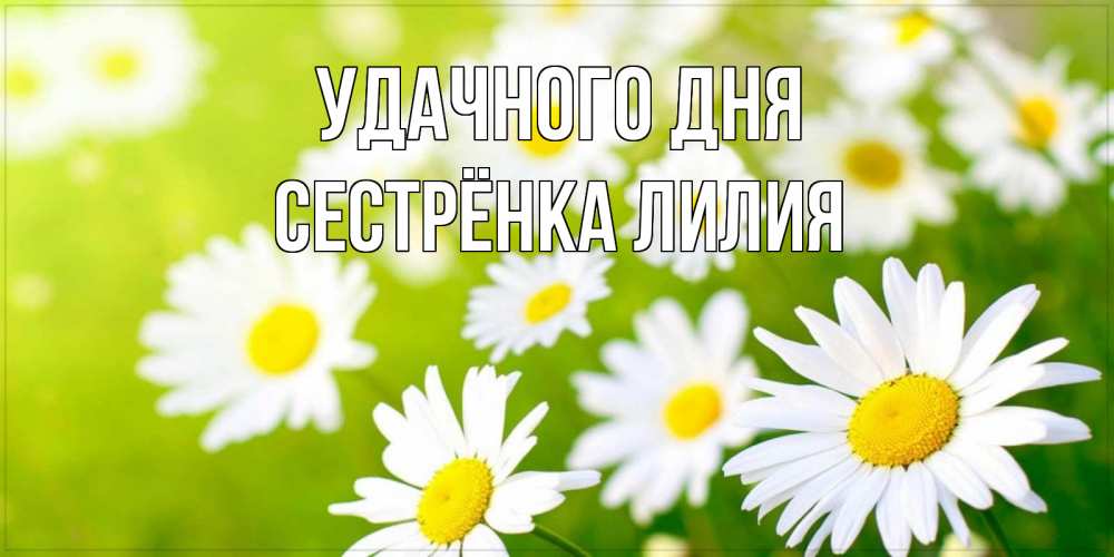 Открытка на каждый день с именем, Сестрёнка-Лилия Удачного дня открытка с ромашками на зеленом фоне Прикольная открытка с пожеланием онлайн скачать бесплатно 