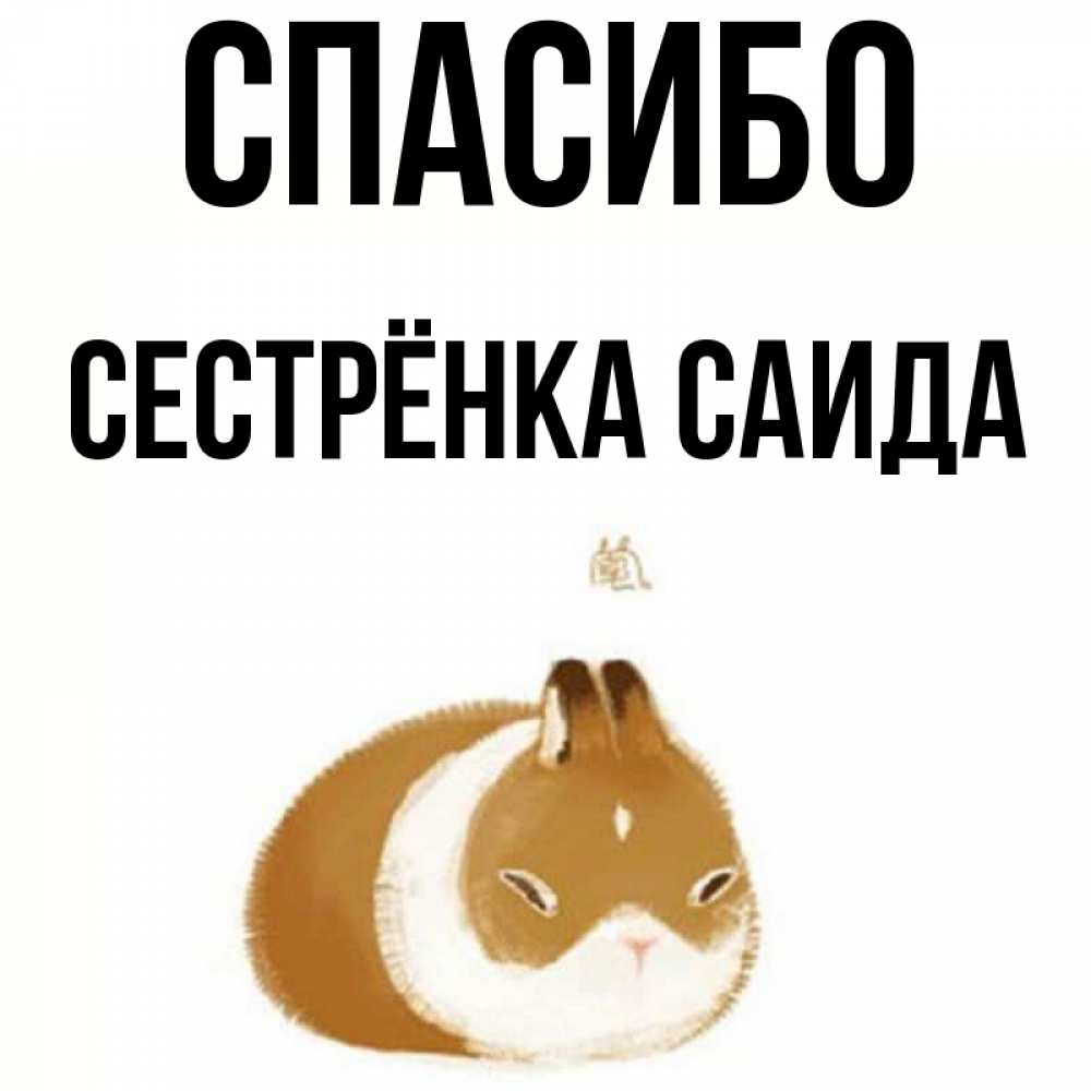 Открытка на каждый день с именем, Сестрёнка-Саида Спасибо коричнево белый домашний питомец Прикольная открытка с пожеланием онлайн скачать бесплатно 