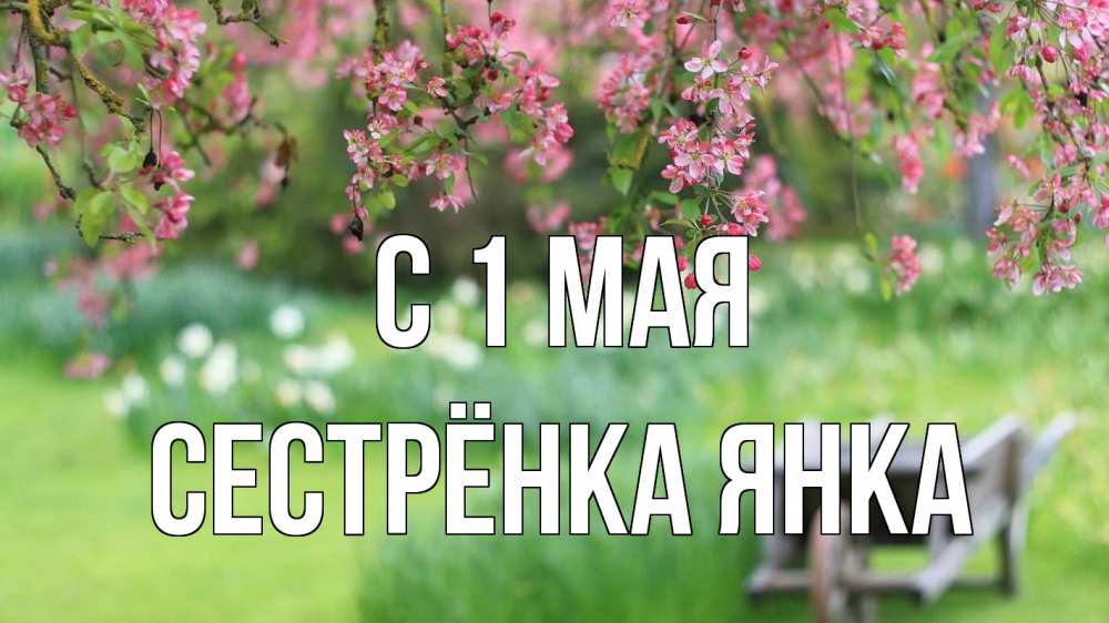 Открытка на каждый день с именем, Сестрёнка-Янка С 1 мая С 1 мая Прикольная открытка с пожеланием онлайн скачать бесплатно 
