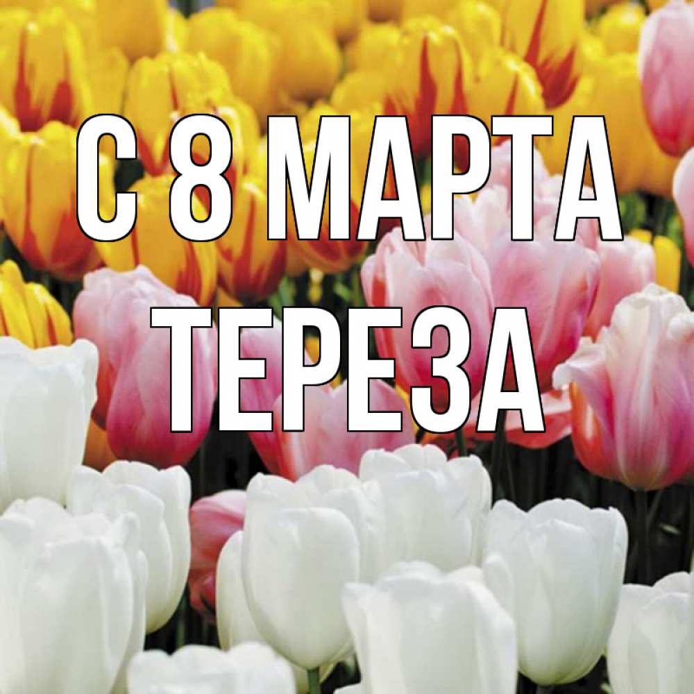 Открытка на каждый день с именем, Тереза С 8 МАРТА разноцветные цветы Прикольная открытка с пожеланием онлайн скачать бесплатно 