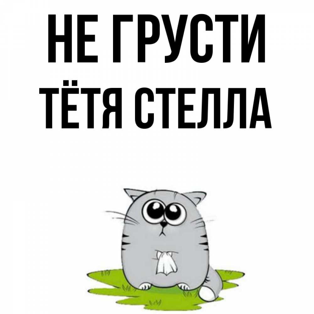 Открытка на каждый день с именем, Тётя-Стелла Не грусти грустный котяра Прикольная открытка с пожеланием онлайн скачать бесплатно 