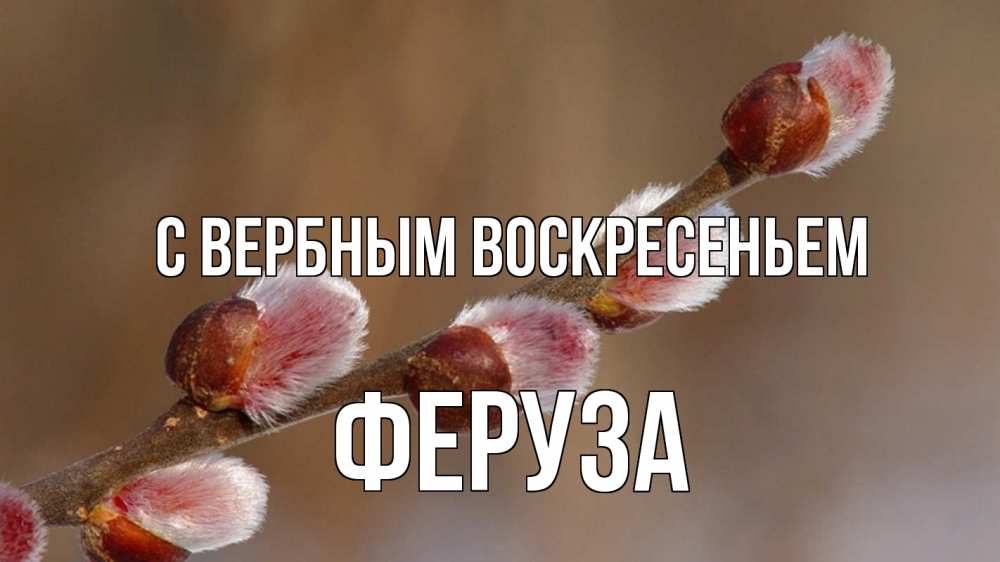 Открытка на каждый день с именем, Феруза С вербным воскресеньем верба Прикольная открытка с пожеланием онлайн скачать бесплатно 