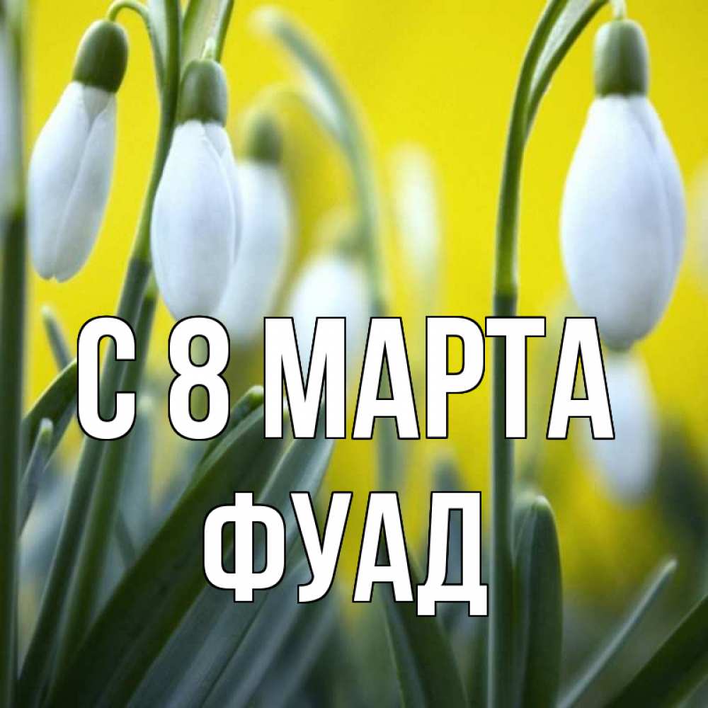 Открытка на каждый день с именем, Фуад С 8 МАРТА весенние цветы Прикольная открытка с пожеланием онлайн скачать бесплатно 