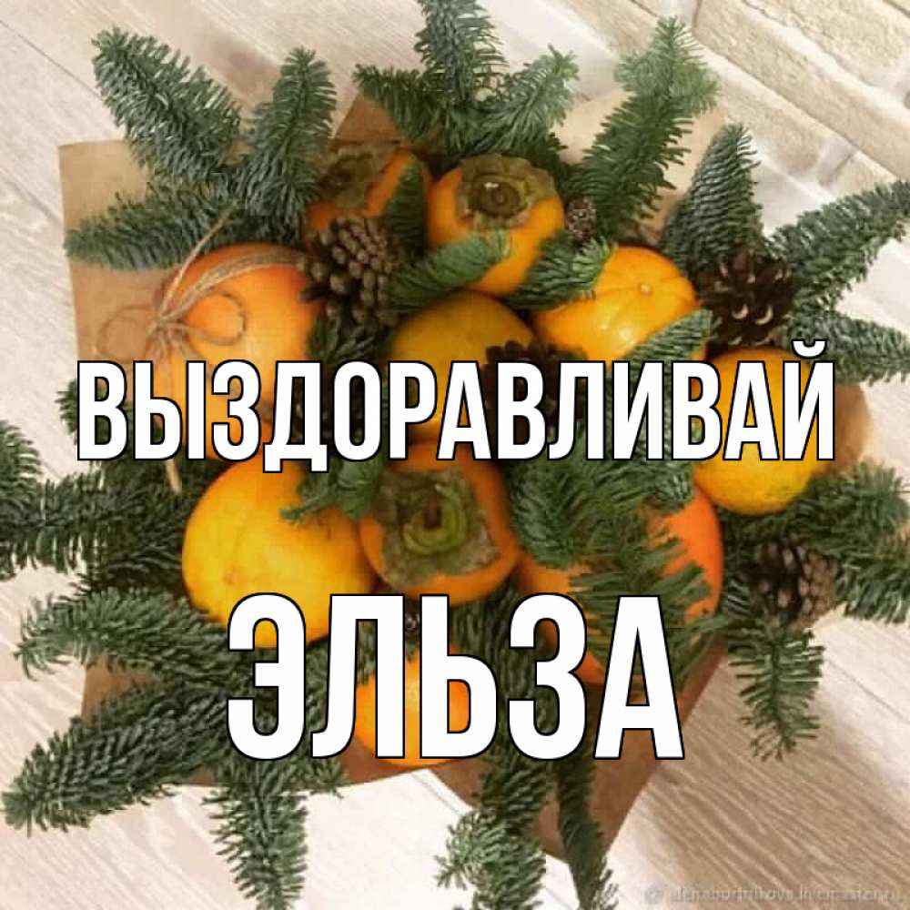 Открытка на каждый день с именем, Эльза Выздоравливай апельсины и хурьма Прикольная открытка с пожеланием онлайн скачать бесплатно 