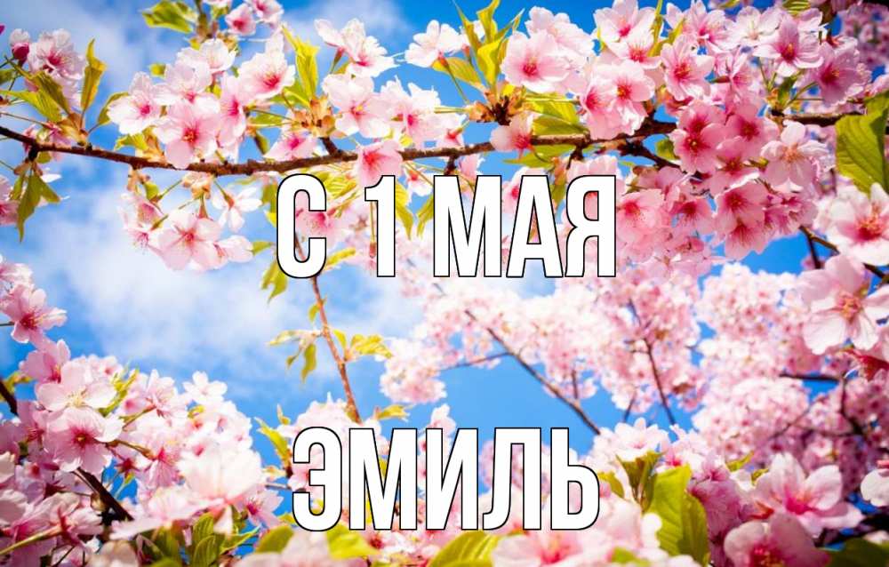 Открытка на каждый день с именем, Эмиль С 1 мая С 1 мая Прикольная открытка с пожеланием онлайн скачать бесплатно 