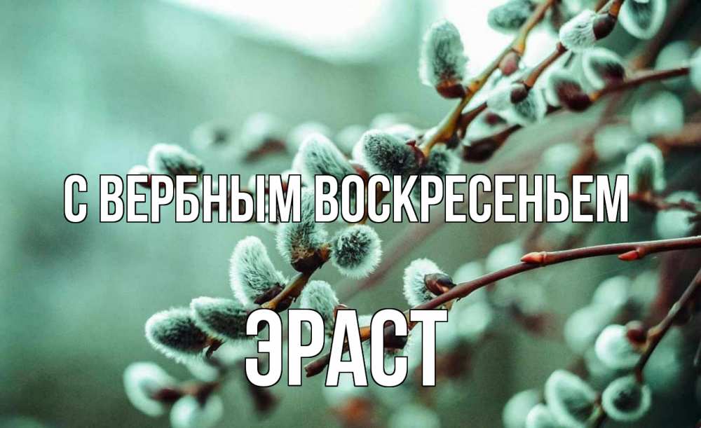 Открытка на каждый день с именем, Эраст С вербным воскресеньем верба Прикольная открытка с пожеланием онлайн скачать бесплатно 