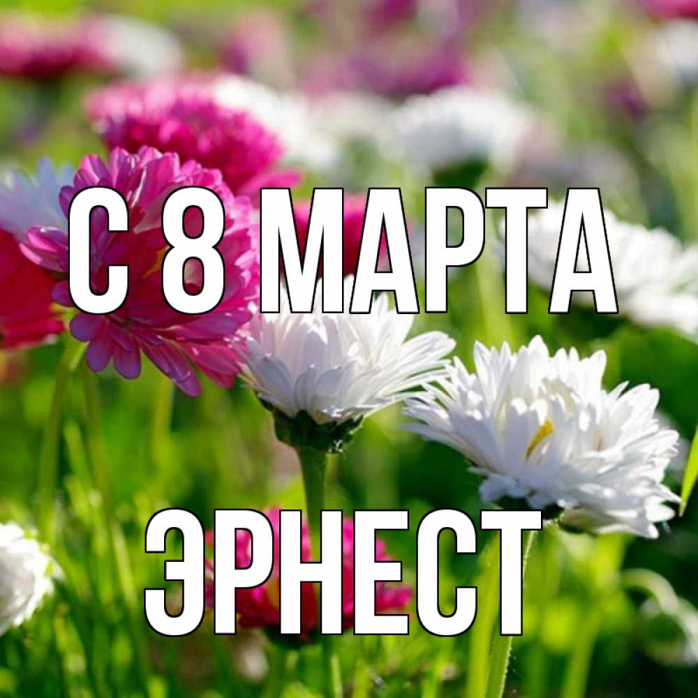 Открытка на каждый день с именем, Эрнест С 8 МАРТА международный женский день 1 Прикольная открытка с пожеланием онлайн скачать бесплатно 