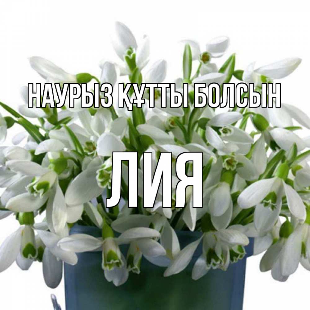 Открытка на каждый день с именем, Лия Наурыз құтты болсын цветы к наурызу Прикольная открытка с пожеланием онлайн скачать бесплатно 