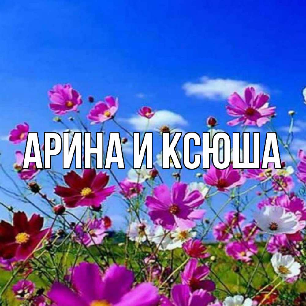 Открытка на каждый день с именем, Арина-и-Ксюша Главная цветы Прикольная открытка с пожеланием онлайн скачать бесплатно 