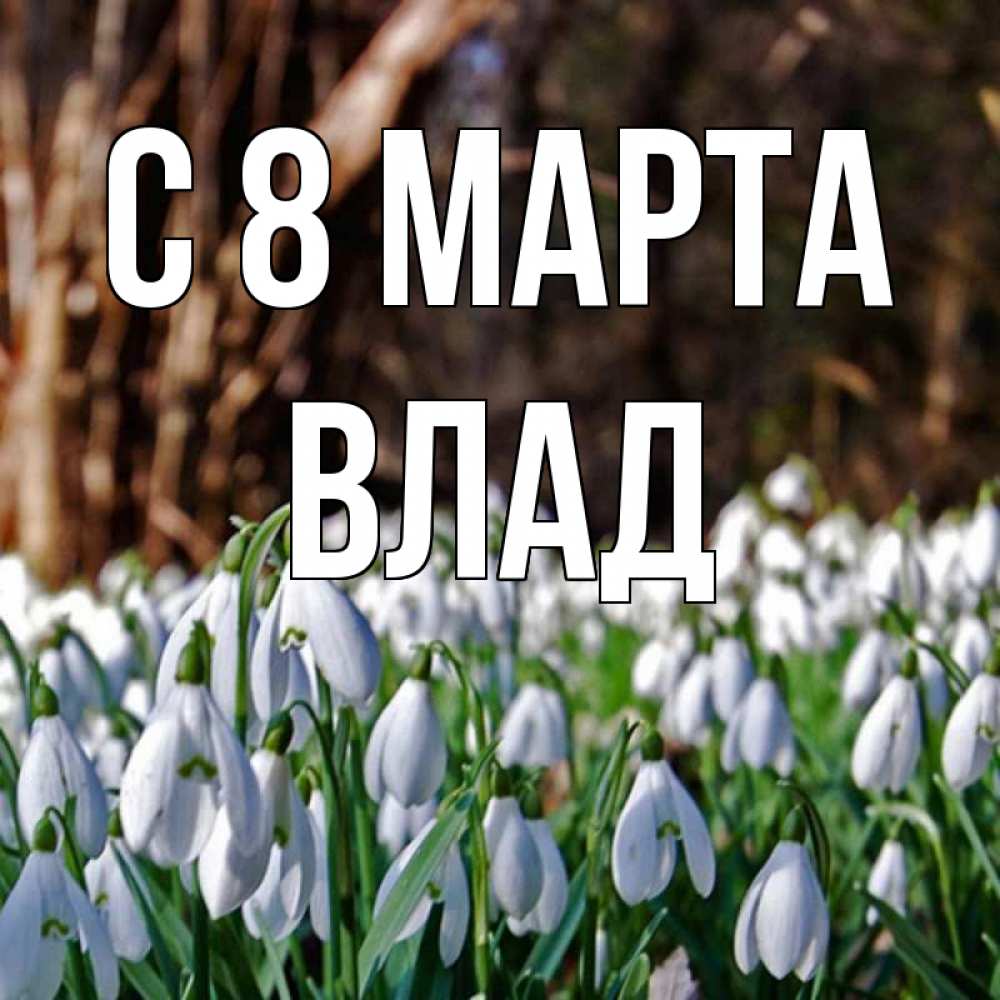 Открытка на каждый день с именем, Влад С 8 МАРТА с подснежниками 1 Прикольная открытка с пожеланием онлайн скачать бесплатно 