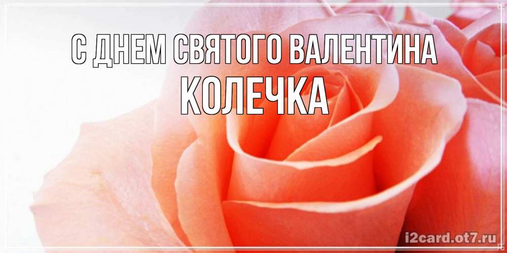 Открытка на каждый день с именем, Колечка С днем Святого Валентина открытка на день Святого Валентина с розовой розой Прикольная открытка с пожеланием онлайн скачать бесплатно 