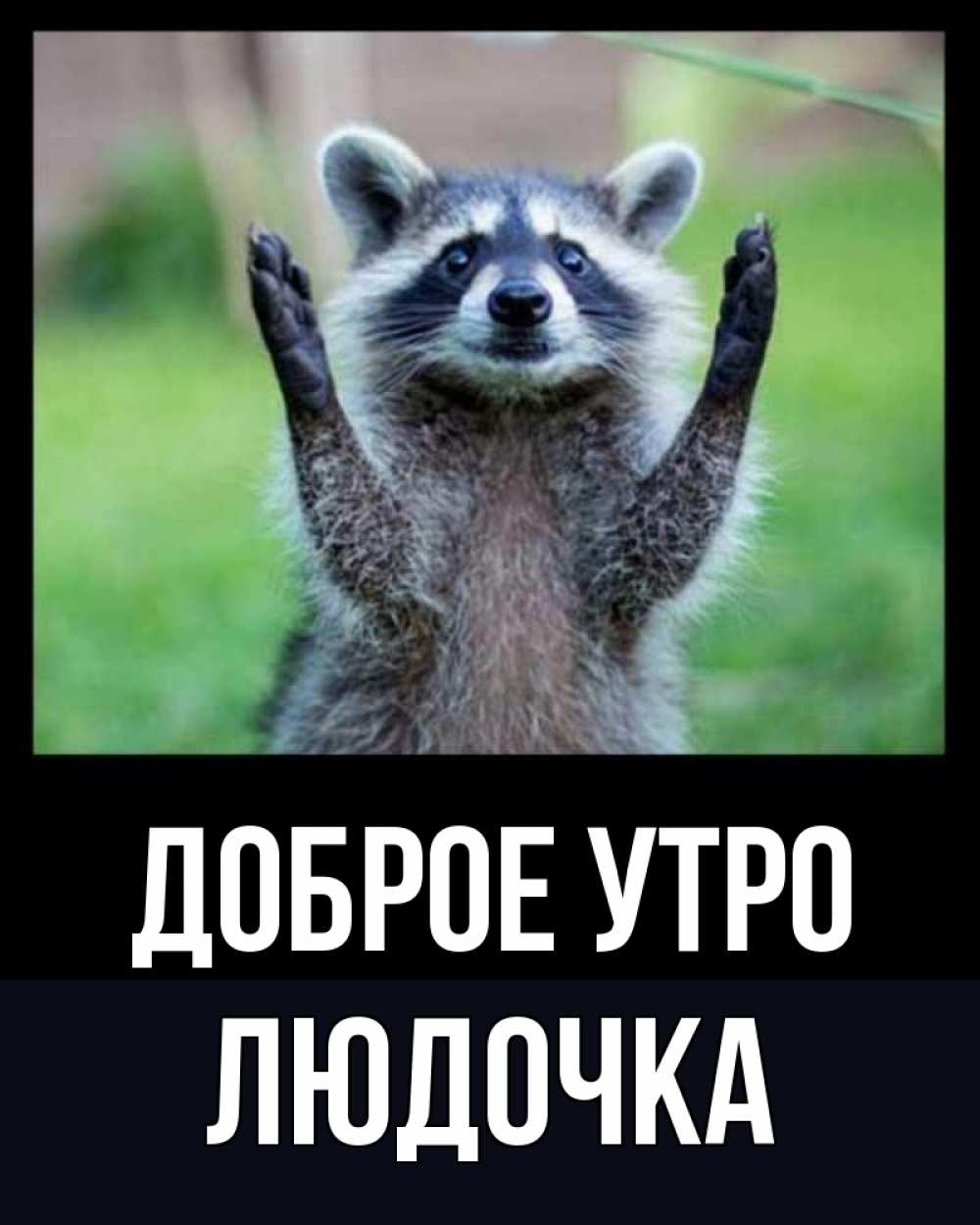 Открытка на каждый день с именем, ЛЮДОЧКА Доброе утро хорошее настроение утречком Прикольная открытка с пожеланием онлайн скачать бесплатно 