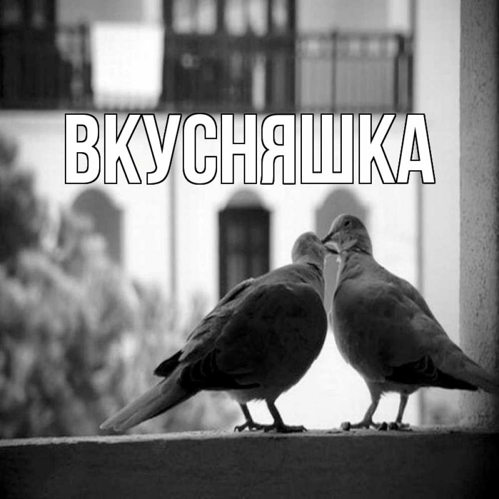 Открытка на каждый день с именем, Вкусняшка Главная птицы на подоконнике Прикольная открытка с пожеланием онлайн скачать бесплатно 