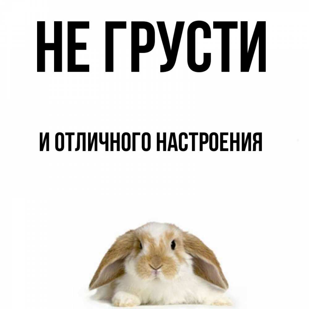 Не грусти картинки для настроения
