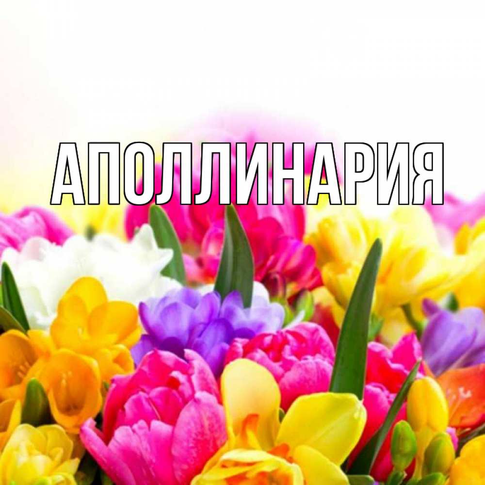 Картинка  с именем , Аполлинария