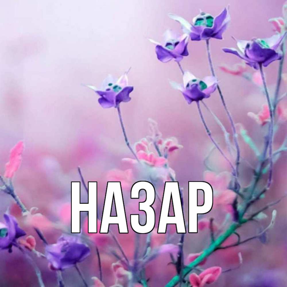 Открытка на каждый день с именем, Назар Главная наурыз  2 Прикольная открытка с пожеланием онлайн скачать бесплатно 