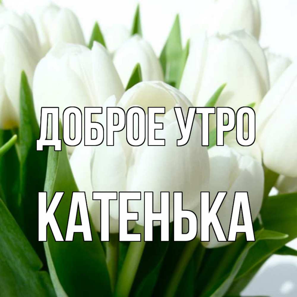 Доброе утро катенька картинки