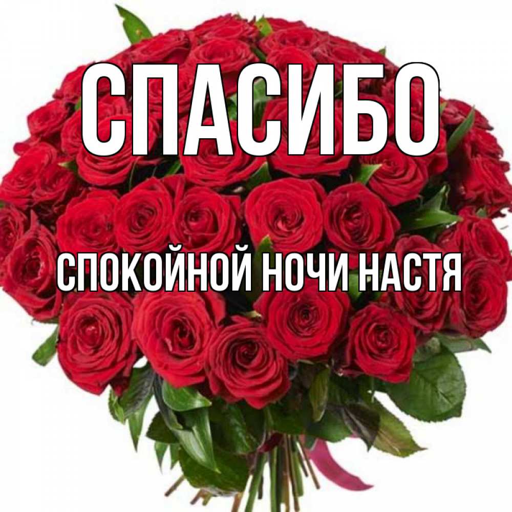 Спокойной ночи настя текст. Спасибо Настя. Спасибо Настенька