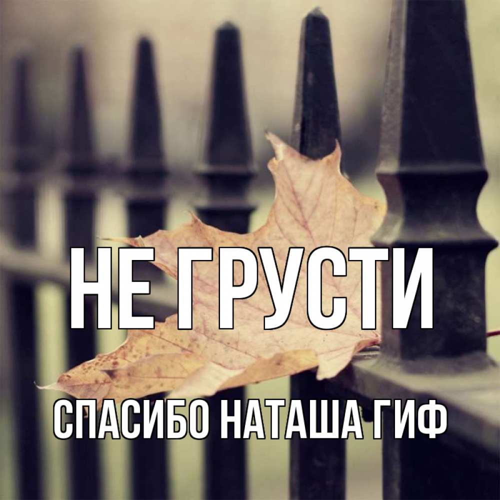 Открытка на каждый день с именем, СПАСИБО-НАТАША-ГИФ Не грусти лист клена Прикольная открытка с пожеланием онлайн скачать бесплатно 