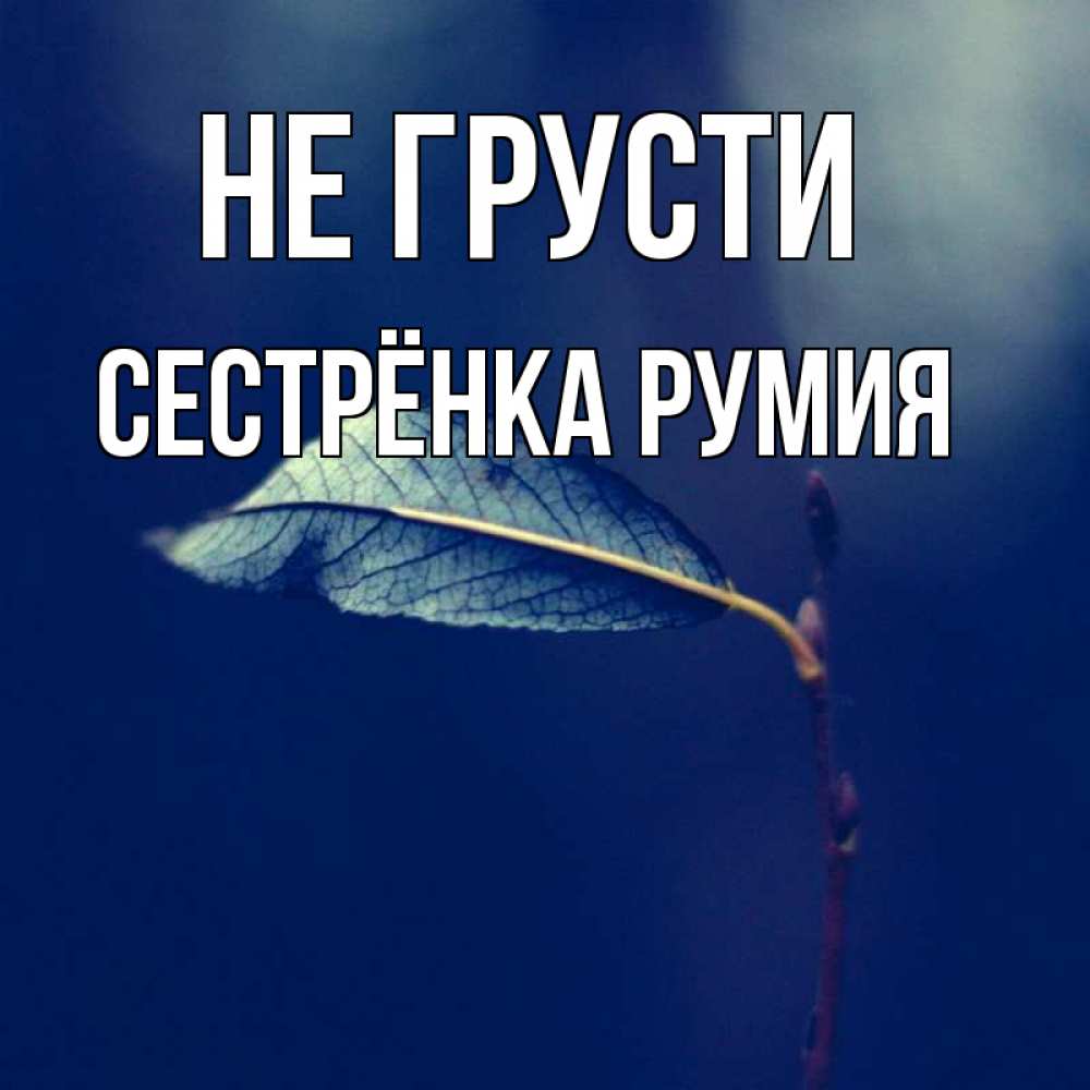 Открытка на каждый день с именем, Сестрёнка-Румия Не грусти растение Прикольная открытка с пожеланием онлайн скачать бесплатно 