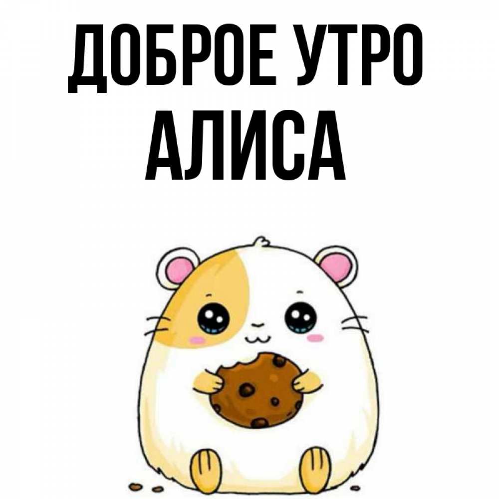 алиска добрый. алиска добрый. доброе утро алиса пикчи. доброе утро алиса картинки. алиса добрая.