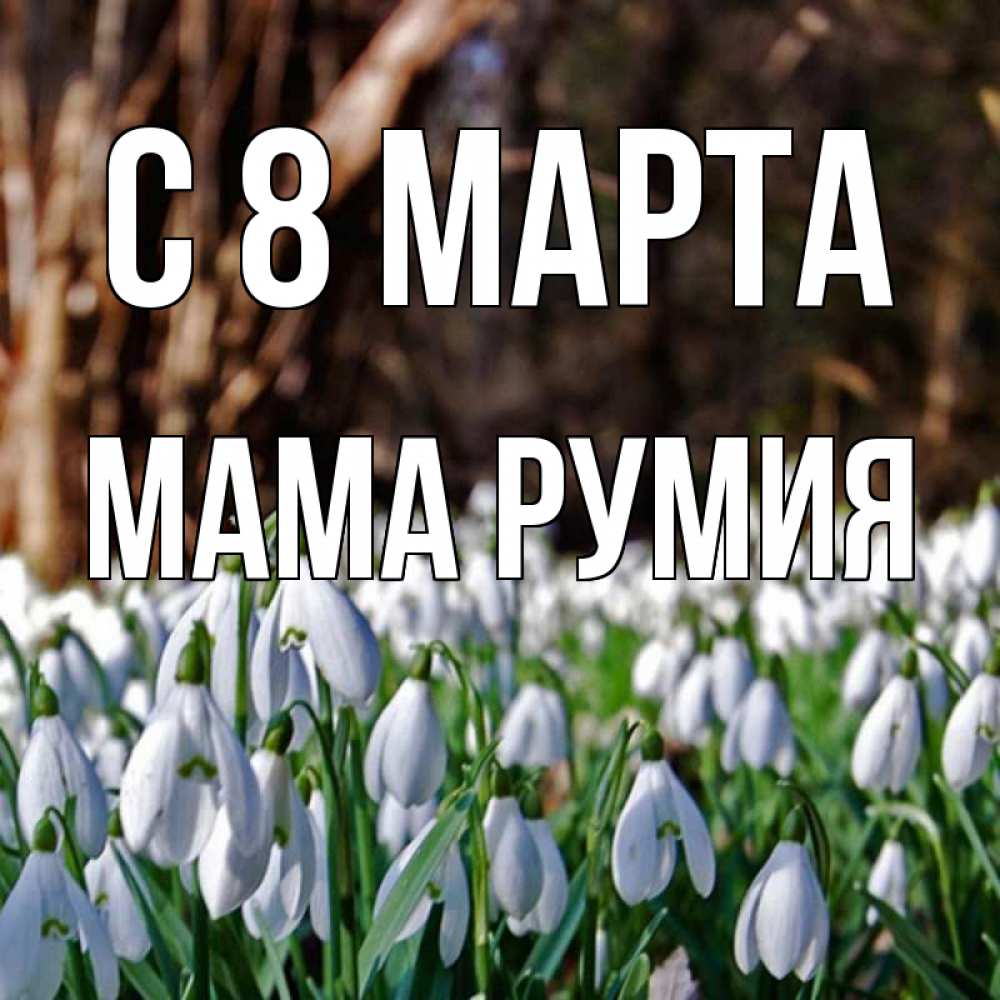 Открытка на каждый день с именем, Мама-Румия С 8 МАРТА с подснежниками 1 Прикольная открытка с пожеланием онлайн скачать бесплатно 