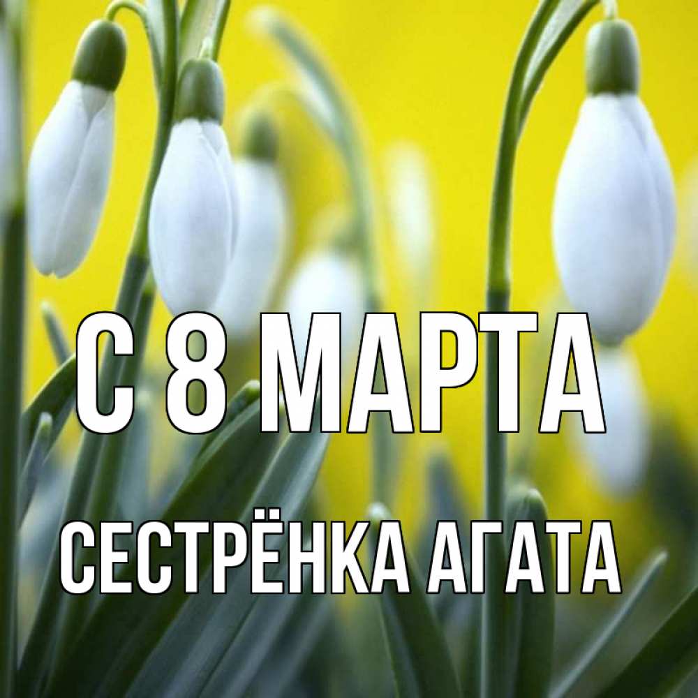 Открытка на каждый день с именем, Сестрёнка-Агата С 8 марта весенние цветы Прикольная открытка с пожеланием онлайн скачать бесплатно 